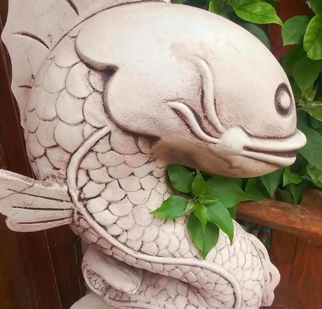 Rum i privatbostad Demeter Rose Stonehouse Pansion Lägenhet Antalya Turkiet