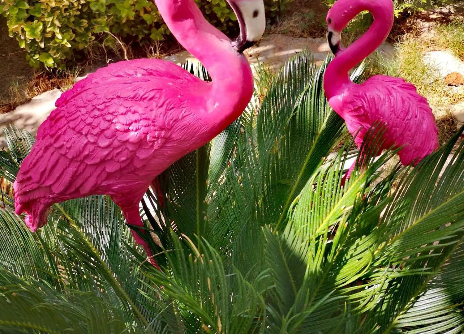 Demeter Rose Stonehouse Pansion Appartement Antalya