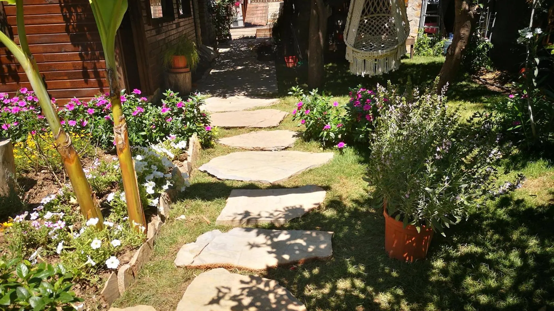 Demeter Rose Stonehouse Pansion Appartement Antalya 0*,  Turkije