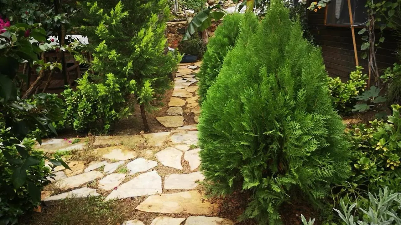 Demeter Rose Stonehouse Pansion Lägenhet Antalya