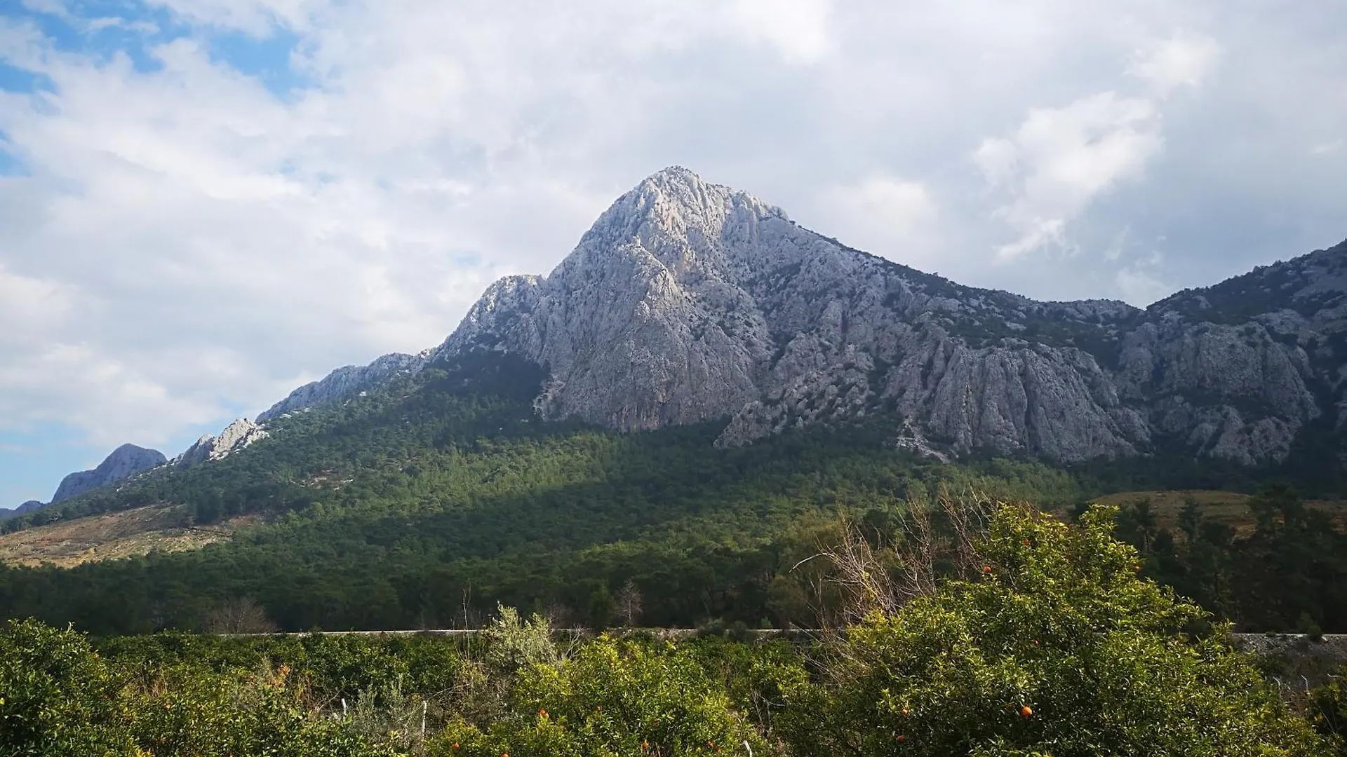 Demeter Rose Stonehouse Pansion Appartement Antalya 0*,